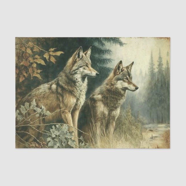 Silver Wolves  Tissue Paper (Front)