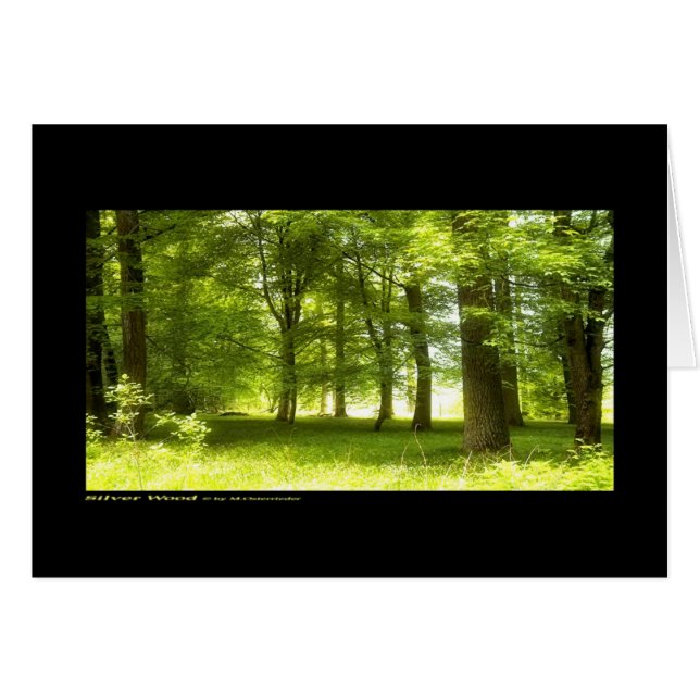 Silver Wood (card) (Front Horizontal)