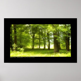 Silver Wood Poster