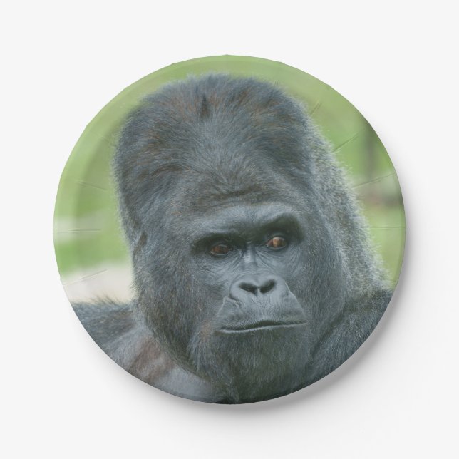 Silverback Dishi Paper Plate (Front)