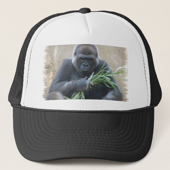 Silverback Gorilla Baseball Hat (Front)