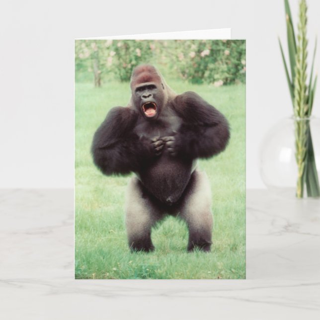 Silverback Gorilla Beating Chest Card (Front)
