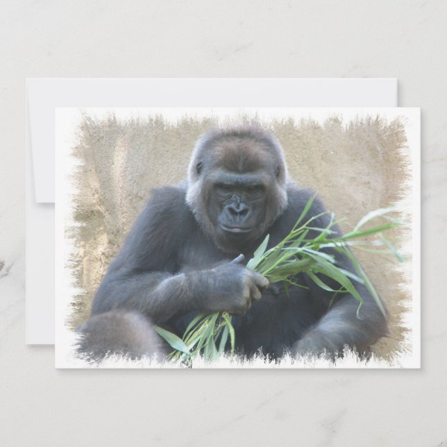 Silverback Gorilla Invitation (Front)
