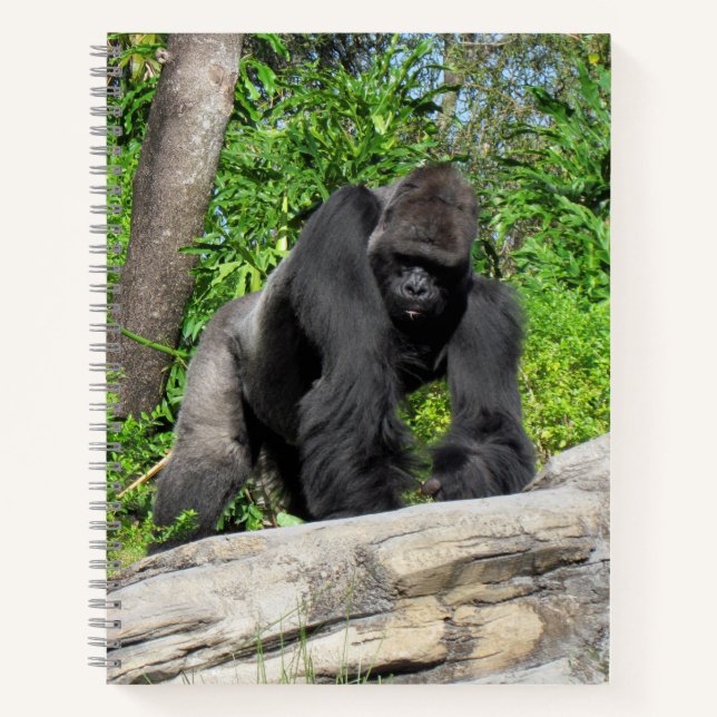 Silverback Gorilla Notebook, 8.5 x 11 + Notebook (Front)