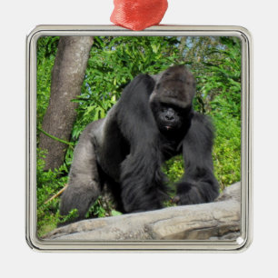 Silverback Gorilla Ornament