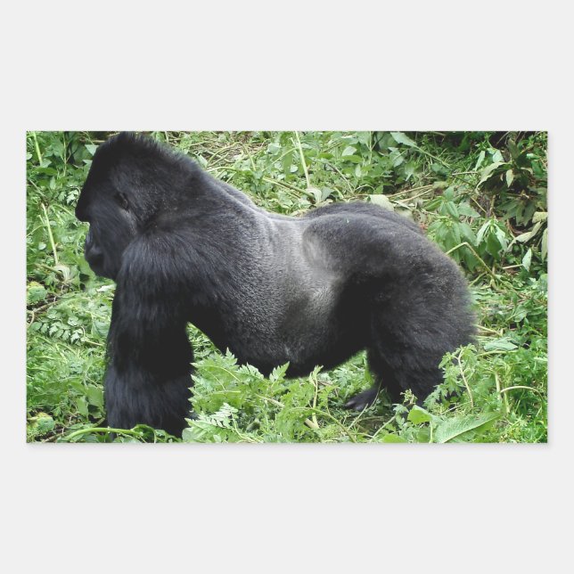 Silverback gorilla photo sticker (Front)