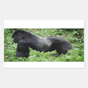 Silverback gorilla photo sticker