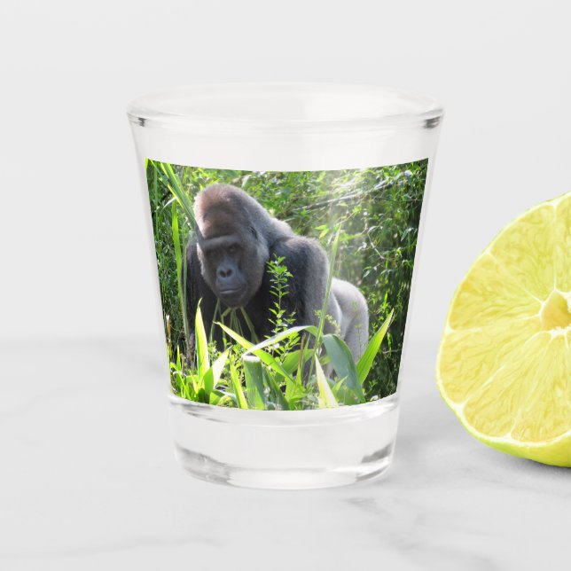 Silverback Gorilla Shot glass (Front)