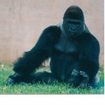 SILVERBACK GORILLA STANDING PHOTO SCULPTURE<br><div class="desc">SILVERBACK GORILLA</div>