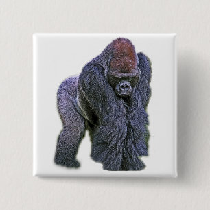 Silverback Gorilla, White Back (g2p2) 15 Cm Square Badge