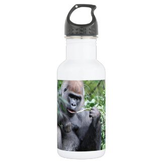 silverback gorillas 532 ml water bottle