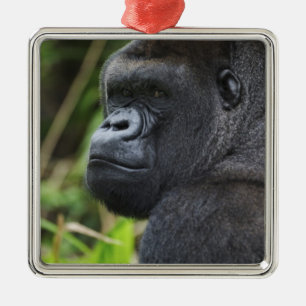 Silverback Lowland Gorilla, Gorilla Captive Metal Tree Decoration
