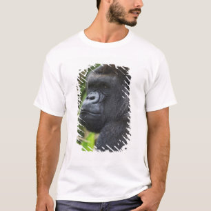 Silverback Lowland Gorilla, Gorilla Captive T-Shirt
