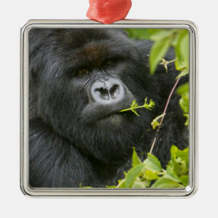 Silverback Mountain Gorilla Metal Tree Decoration