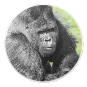 Silverbacks Take the Spotlight Ceramic Knob