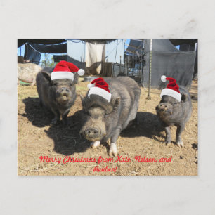 Silverbells Christmas Card!  Holiday Postcard