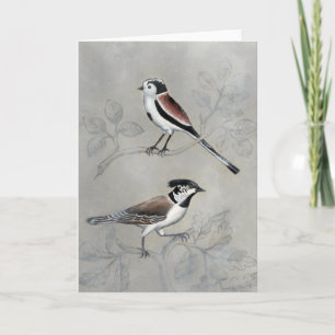 Silvered Aviary A Pair Card