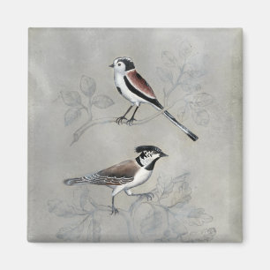 Silvered Aviary A Pair Magnet