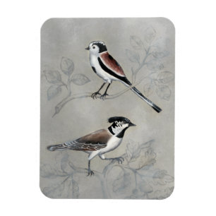 Silvered Aviary   A Pair Magnet