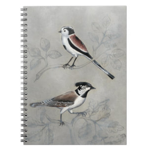 Silvered Aviary   A Pair Notebook