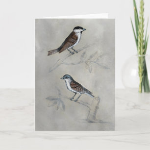 Silvered Aviary A Pair Of Birds Card