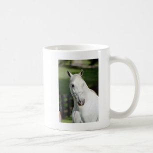 Silverstoneshamal Coffee Mug