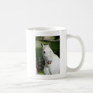 Silverstoneshamal Coffee Mug