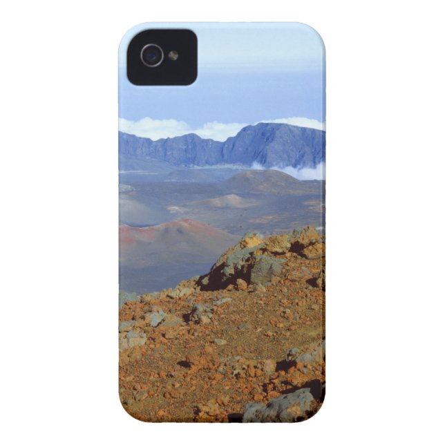 Silversword on Haleakala Crater  Rim from near 2 Case-Mate iPhone Case (Back)