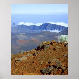 Silversword on Haleakala Crater Rim from near 2 Poster