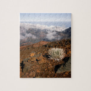 Silversword on Haleakala Crater Rim from near 3 Jigsaw Puzzle