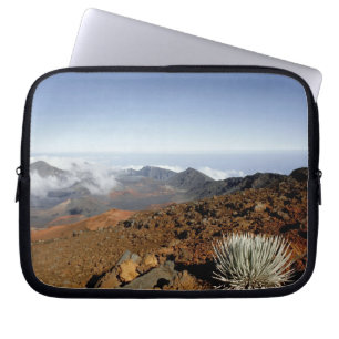 Silversword on Haleakala Crater  Rim from near Laptop Sleeve