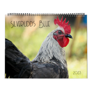 Silverudds Blue Chickens Calendar