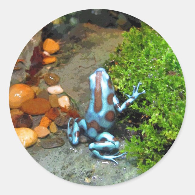 Silvery Blue Dart Frog CB Classic Round Sticker (Front)