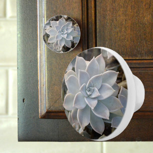 Silvery Blue Succulent Botanical Photographic Ceramic Knob