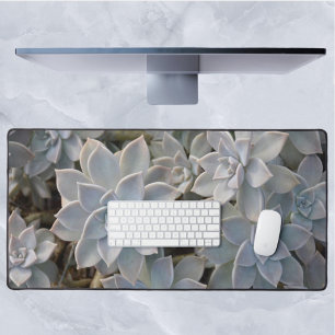Silvery Blue Succulents Botanical Photographic Desk Mat