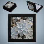 Silvery Blue Succulents Botanical Wooden Keepsake Gift Box<br><div class="desc">Silvery blue and green Echeveria succulents with hints of pink and dark shadows are featured on this beautiful and elegant wood keepsake gift box. It is sophisticated and beautiful and a gift to be treasured with Personalised initials.

This image is original botanical photography by JLW_PHOTOGRAPHY</div>