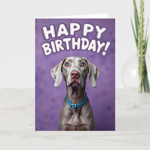 Silvery Canine Birthday Card