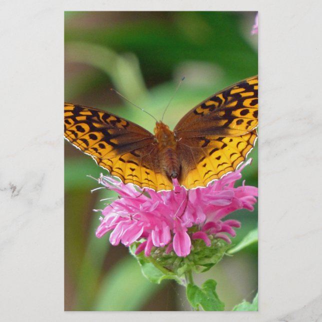 Silvery Checkerspot Butterfly Stationery (Front)
