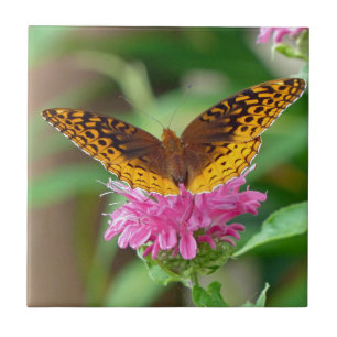 Silvery Checkerspot Butterfly Tile