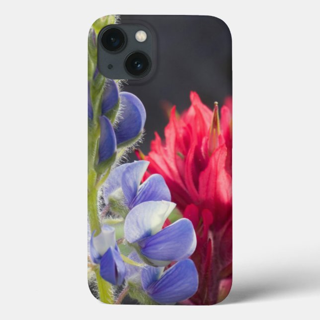 Silvery Lupine, Lavender Paintbrush Case-Mate iPhone Case (Back)