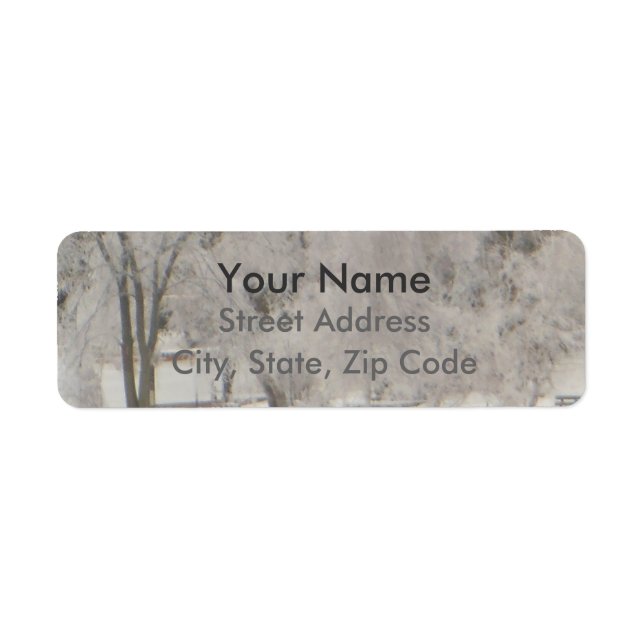 Silvery Trees (Front)