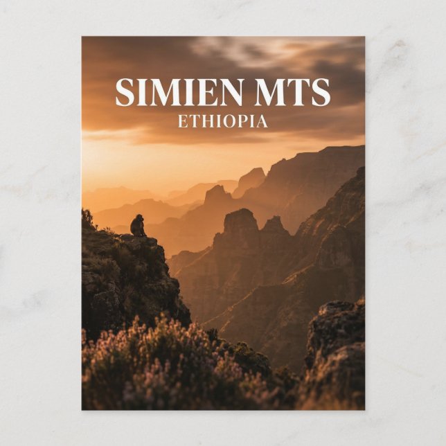 Simien Mountains, Debark, Amhara Region Postcard (Front)