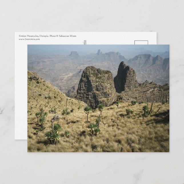 Simien Mountains Ethiopia Postcard (Front/Back)