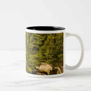 Similan Islands, Marine National Park near Two-Tone Coffee Mug