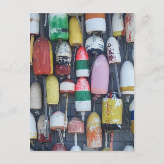 Similarity in a Sea of Differences Postcard (Front)