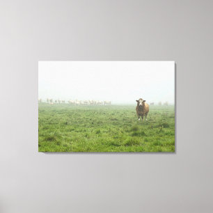 Simmental Bull in Foggy Green Pasture Canvas Print