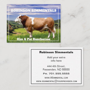 Simmental Bull in Pasture    Business Card