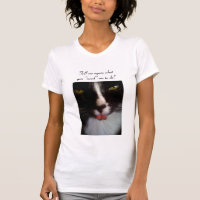 Simon the bad attitude cat