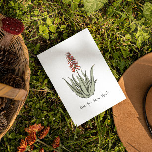 Simple Aloe You Vera Much Blank Cactus Plant Art Holiday Card