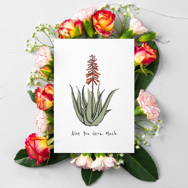 Simple Aloe You Vera Much Blank Cactus Plant Art Holiday Card (Hand-Drawn Cactus Plant Art in Green & Orange Hues. Valentines Day, Birthday, Anniversary, Love)
